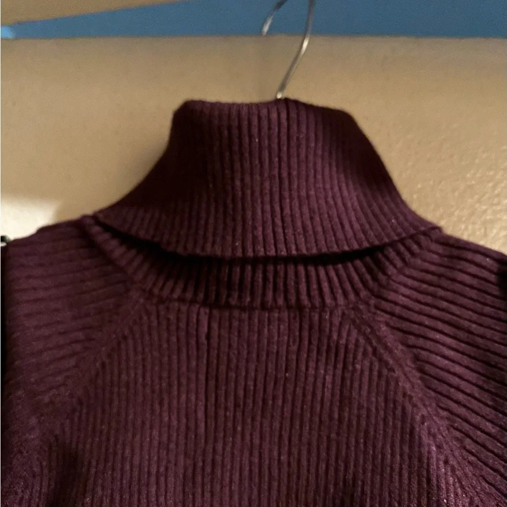 Calvin Klein Jeans Deep Purple Turtleneck Sweater - Picture 5 of 7